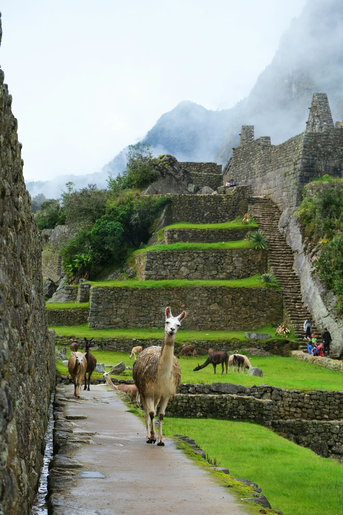 Cusco & Machu Picchu 3